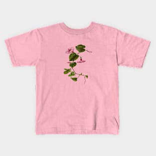 Pilikai Hawaiian Stictocardia tiliaefolia Botanical Vector Art Kids T-Shirt